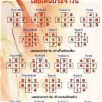 เลขประจำวัน แม่นๆ